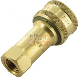 Coupleur femelle laiton 1/4NPT | FASTER Coupleur femelle laiton 1/4NPT | FASTERPR#781503