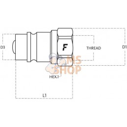 Coupleur à bille mâle 1/4 BSP | FASTER Coupleur à bille mâle 1/4 BSP | FASTERPR#781551