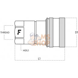 Coupleur femelle 1/2 BSP | FASTER Coupleur femelle 1/2 BSP | FASTERPR#781215