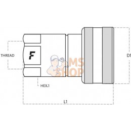 Coupleur femelle HNV 3/8 UNF | FASTER Coupleur femelle HNV 3/8 UNF | FASTERPR#781523