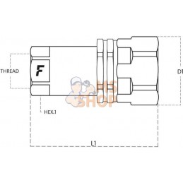 Coupleur femelle VV 1/4 BSP | FASTER Coupleur femelle VV 1/4 BSP | FASTERPR#977434