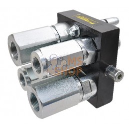 Multifaxeter 2x3/4" 2x1/2"BSP | FASTER Multifaxeter 2x3/4" 2x1/2"BSP | FASTERPR#825136