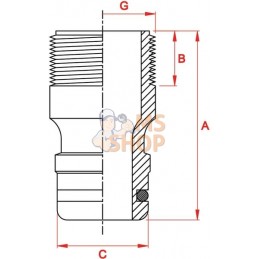 Adaptateur filet mâle G 3/4" | GARDENA Adaptateur filet mâle G 3/4" | GARDENAPR#903729