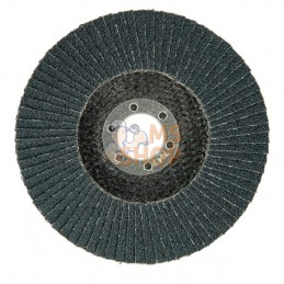 Papier abrasif de rodeuse 125 K60 | HIKOKI Papier abrasif de rodeuse 125 K60 | HIKOKIPR#700955
