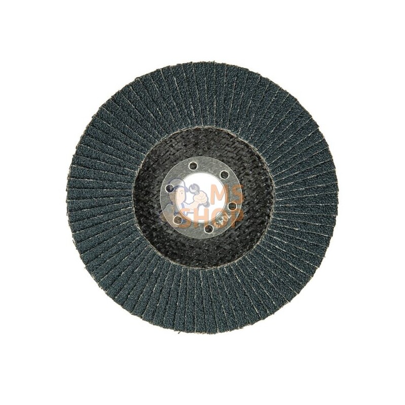 Papier abrasif de rodeuse 125 K60 | HIKOKI Papier abrasif de rodeuse 125 K60 | HIKOKIPR#700955