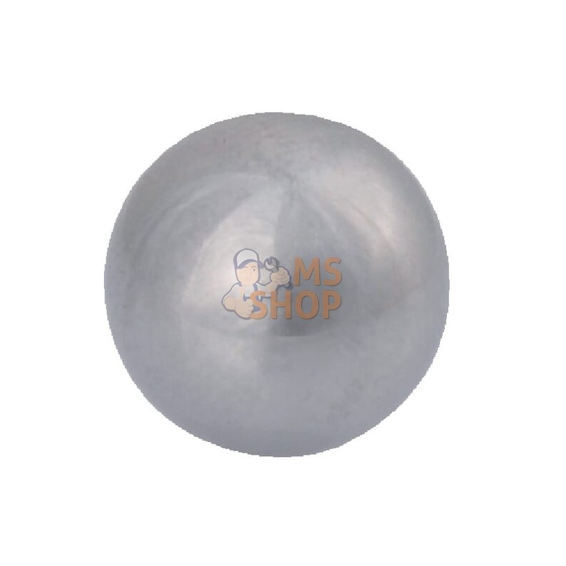 Bille 16 mm | INA/FAG Bille 16 mm | INA/FAGPR#583990 Bille 16 mm | INA/FAG Bille 16 mm | INA/FAGPR#583990