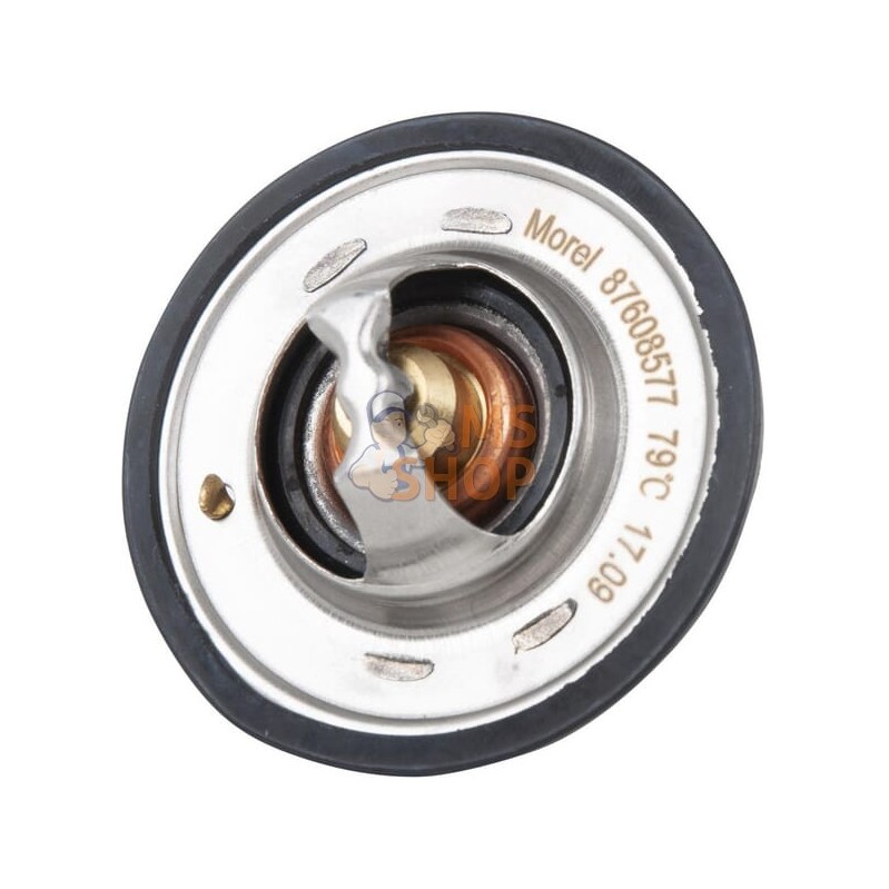 Thermostat NH | GOPART Thermostat NH | GOPARTPR#554085