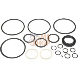 Seal kit Belarus | GOPART Seal kit Belarus | GOPARTPR#980225