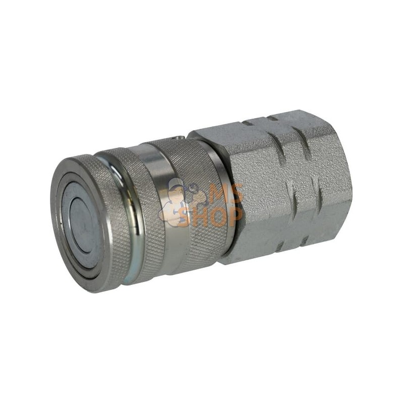 Coupleurs, femelle 1/2" - 1/2" BSP gopart | GOPART Coupleurs, femelle 1/2" - 1/2" BSP gopart | GOPARTPR#922119 Coupleurs, femelle 1/2" - 1/2" BSP gopart | GOPART Coupleurs, femelle 1/2" - 1/2" BSP gopart | GOPARTPR#922119