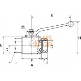 Vanne à bille 2/2 - 3/4" BSP | GOPART Vanne à bille 2/2 - 3/4" BSP | GOPARTPR#479413