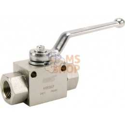 Vanne à bille 2/2 - 1/2" BSP | GOPART Vanne à bille 2/2 - 1/2" BSP | GOPARTPR#479412