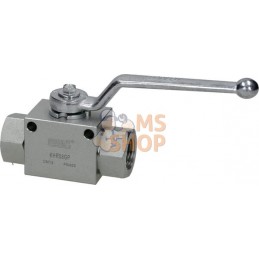 Vanne à bille 2/2 - 1/2" BSP | GOPART Vanne à bille 2/2 - 1/2" BSP | GOPARTPR#479412