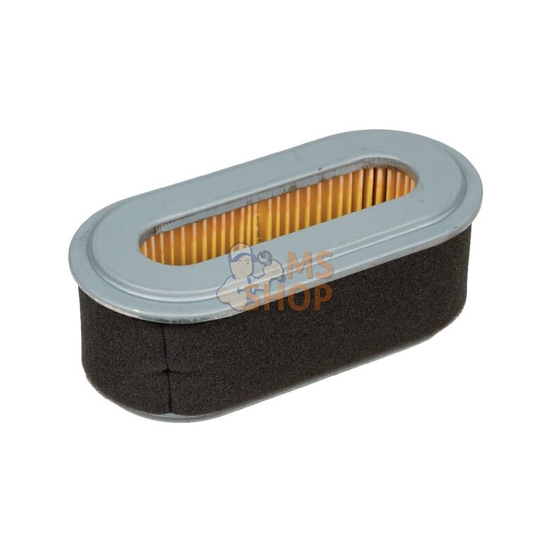 Filtre à air Robin | GOPART Filtre à air Robin | GOPARTPR#661721