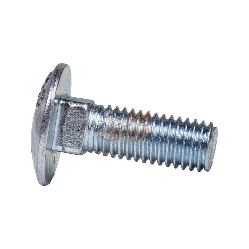Vis à tête carrée 10x30 galvanisée 8.8 | HORSCH Vis à tête carrée 10x30 galvanisée 8.8 | HORSCHPR#973425