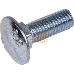 Vis à tête carrée 10x30 galvanisée 8.8 | HORSCH Vis à tête carrée 10x30 galvanisée 8.8 | HORSCHPR#973425