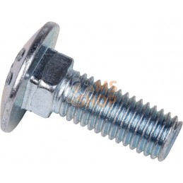 Vis à tête carrée 10x30 galvanisée 8.8 | HORSCH Vis à tête carrée 10x30 galvanisée 8.8 | HORSCHPR#973425