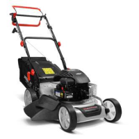 Pièces détachées Tondeuse tractée WB454SB3EN1 WEIBANG - MSSHOP