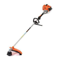 Pièces détachées DÉBROUSSAILLEUSE CG260AN 2010 SARP
