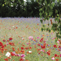 Mélanges fleuris de toutes marques - MSSHOP