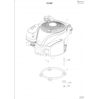 Pièce détachée FIXATION MOTEUR TONDEUSE T51BP OUTILS WOLF MSSHOP