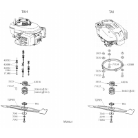 Pièce détachée MOTEUR TAH OUTILS WOLF MSSHOP