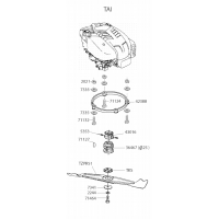 Pièce détachée MOTEUR TAI OUTILS WOLF MSSHOP