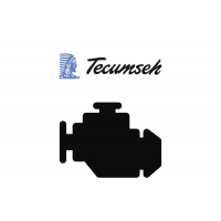Pièces détachées moteur TECUMSEH SYNERGY 40 OUTILS WOLF - MSSHOP