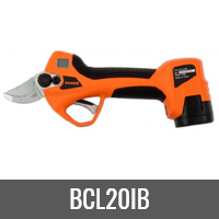 BCL20IB