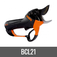 BCL21