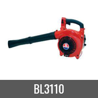 BL3110