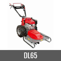 DL65