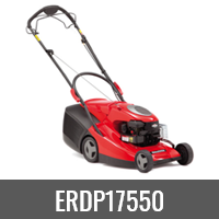 ERDP17550