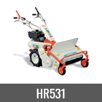 HR531