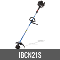 IBCN21S