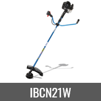 IBCN21W