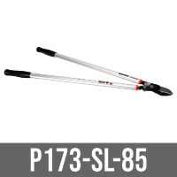 P173-SL-85