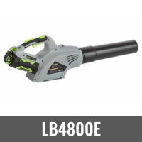 LB6000E