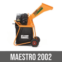 MAESTRO 2002