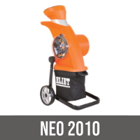 NEO 2010