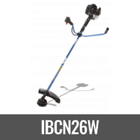 IBCN26W