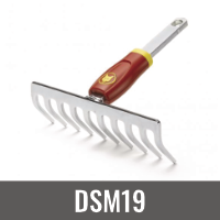 DSM19