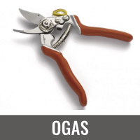 OGAS