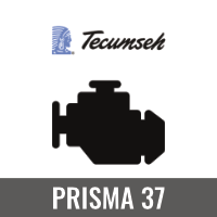 PRISMA 37