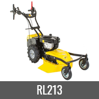 RL213