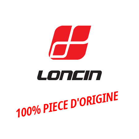 140710019-0001 GUIDE DE TIGE CULBUTEUR 1P65FA | LONCIN