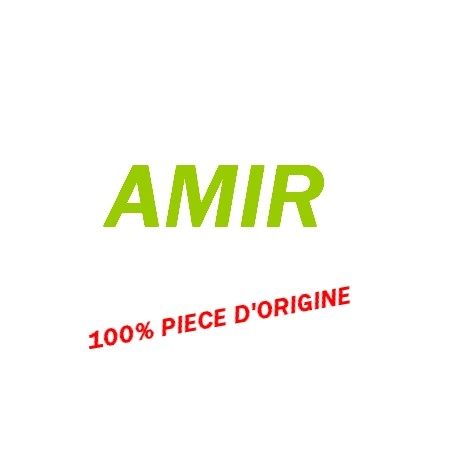 AMIR