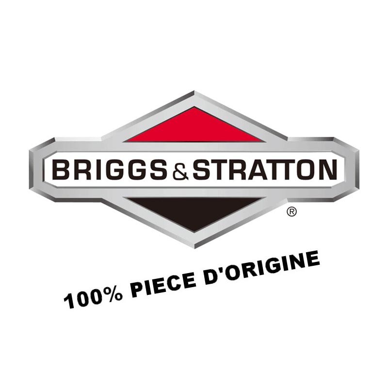 #40 roller chain | BRIGGS & STRATTON