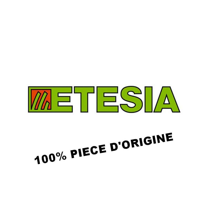 PLAQUE INTERMED. | Etesia