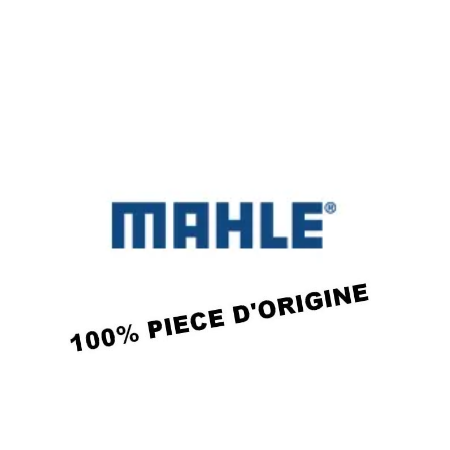 MAHLE