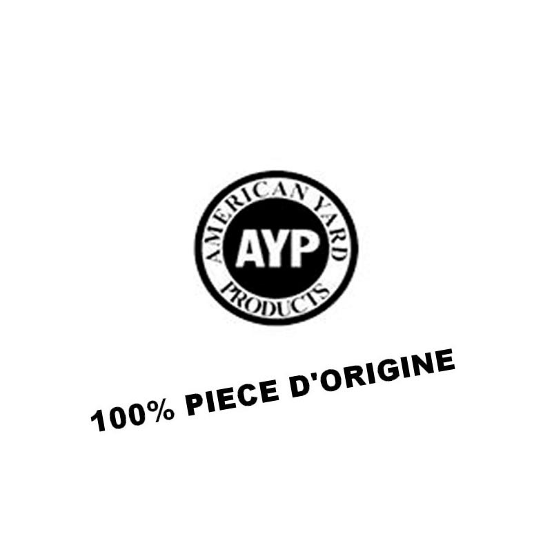 AYP